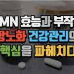 NMN 효능과 부작용 총정리 : 항노화 건강관리의 핵심을 파헤치다 (2025 최신) 4 NMN 효능과 부작용 총정리 : 항노화 건강관리의 핵심을 파헤치다 (2025 최신)