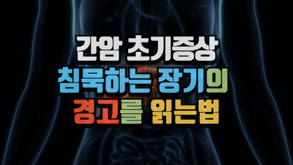 간암 초기증상, 침묵하는 장기의 경고를 읽는 법