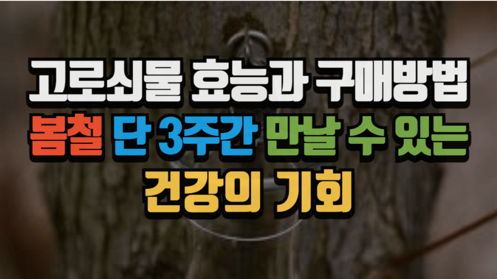 고로쇠물 효능과 구매방법, 봄철 단 3주간 만날 수 있는 건강의 기회 (2025 최신)