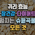 귀리 효능 : 혈당·장건강·다이어트까지 책임지는 슈퍼곡물의 모든 것 (2025 최신) 5 귀리 효능 : 혈당·장건강·다이어트까지 책임지는 슈퍼곡물의 모든 것 (2025 최신)
