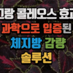 그랑 콜레오스 효과 : 과학으로 입증된 체지방 감량 솔루션 (2025 최신) 7 그랑 콜레오스 효과 : 과학으로 입증된 체지방 감량 솔루션 (2025 최신)