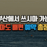 부산에서 쓰시마 가는 대마도 배편 예약 총정리, 요금, 항구, 시간표, 코스 (2025최신) 3 부산에서 쓰시마 가는 대마도 배편 예약 총정리, 요금, 항구, 시간표, 코스 (2025최신)