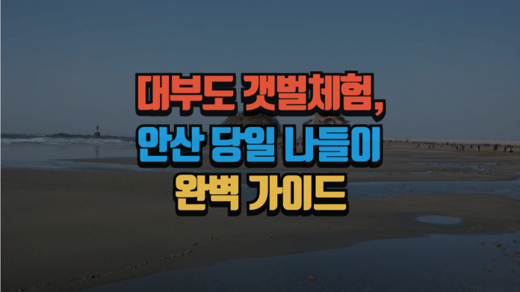 대부도 갯벌체험 & 안산 당일 나들이 완벽 가이드 (2025년 최신)
