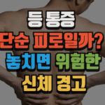 등 통증, 단순 피로일까요? 놓치면 위험한 신체 경고 (2025 최신) 8 등 통증, 단순 피로일까요? 놓치면 위험한 신체 경고 (2025 최신)