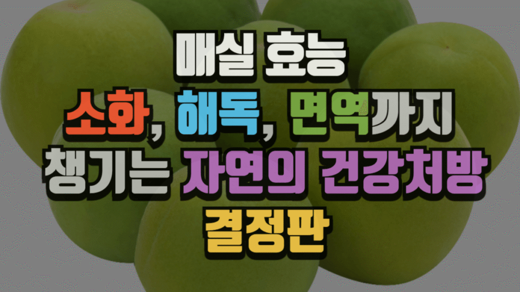 매실 효능 : 소화, 해독, 면역까지 챙기는 자연의 건강처방 (2025 최신)