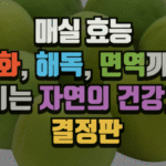 매실 효능 : 소화, 해독, 면역까지 챙기는 자연의 건강처방 (2025 최신) 6 매실 효능 : 소화, 해독, 면역까지 챙기는 자연의 건강처방 (2025 최신)