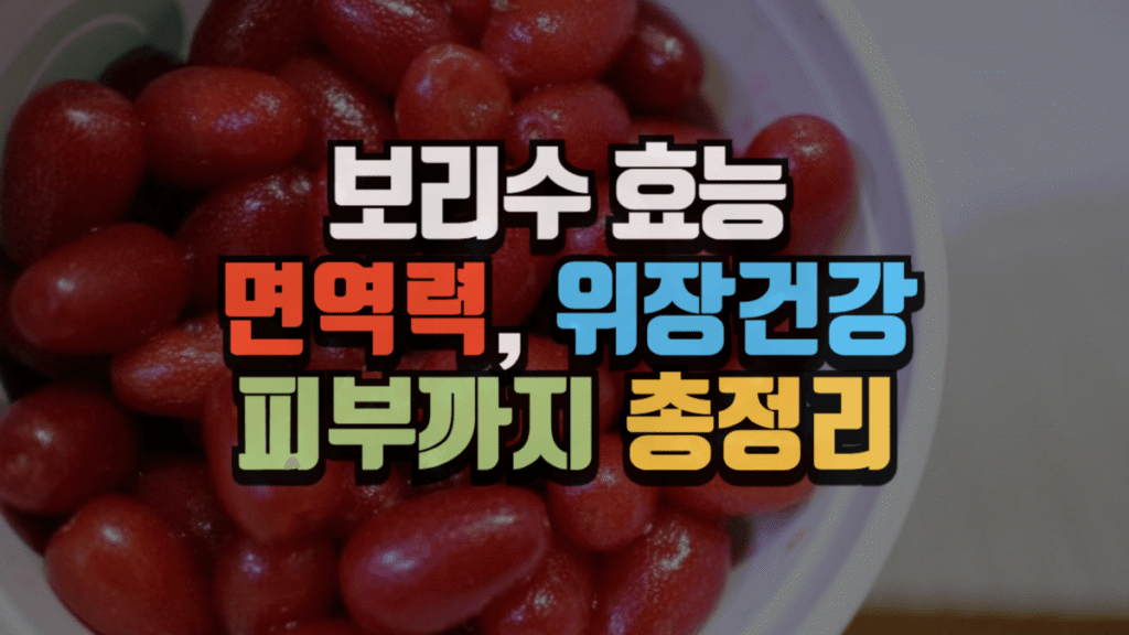 보리수 효능 총정리|면역력, 위장 건강, 피부까지 한 번에