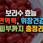 보리수 효능 총정리 면역력, 위장 건강, 피부까지 한 번에 (2025 최신) 6 보리수 효능 총정리|면역력, 위장 건강, 피부까지 한 번에