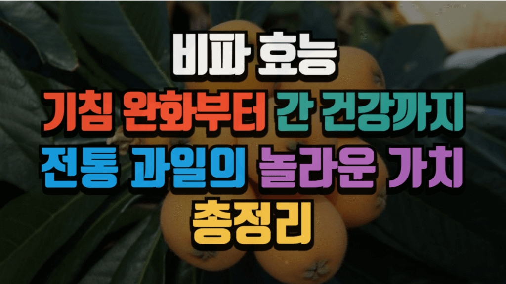 비파 효능, 기침 완화부터 간 건강까지 전통 과일의 놀라운 가치 (2025 최신)