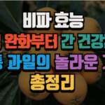 비파 효능, 기침 완화부터 간 건강까지 전통 과일의 놀라운 가치 (2025 최신) 4 비파 효능, 기침 완화부터 간 건강까지 전통 과일의 놀라운 가치 (2025 최신)