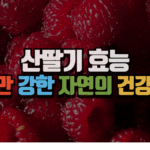 산딸기 효능, 작지만 강한 자연의 건강 열매 (2025 최신) 6 산딸기 효능, 작지만 강한 자연의 건강 열매