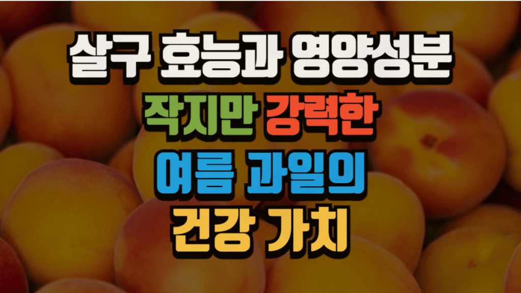 살구 효능과 영양성분, 작지만 강력한 여름 과일의 건강 가치 (2025 최신)