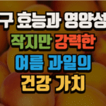 살구 효능과 영양성분, 작지만 강력한 여름 과일의 건강 가치 (2025 최신) 6 살구 효능과 영양성분, 작지만 강력한 여름 과일의 건강 가치 (2025 최신)