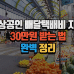소상공인 배달택배비지원 30만원 받는 법 완벽 정리 (2025년 최신) 8 소상공인 배달택배비지원 30만원 받는 법 완벽 정리 (2025년 최신)