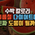 수박 칼로리, 여름철 다이어트에 진짜 도움이 될까? (2025 최신) 8 수박 칼로리, 여름철 다이어트에 진짜 도움이 될까?