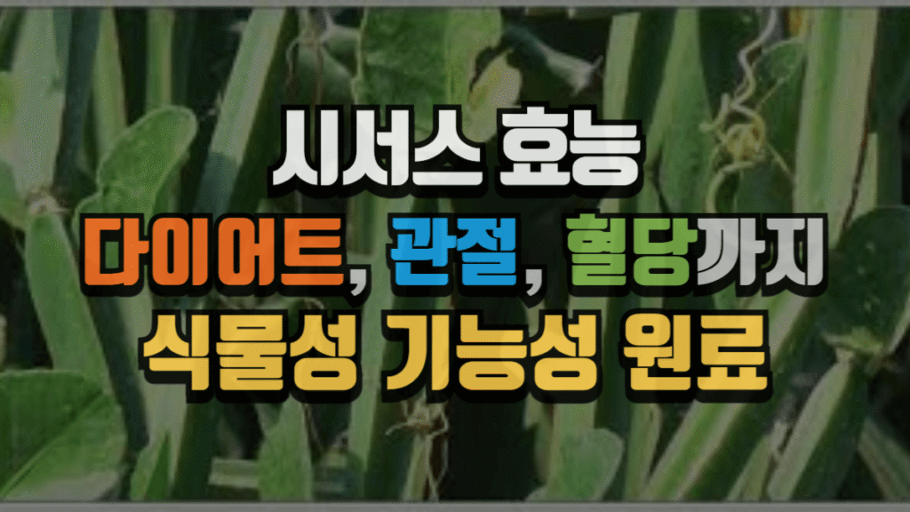 시서스 효능 완전 정리 : 다이어트, 관절, 혈당까지 책임지는 식물성 기능성 원료 (2025 최신) 2 시서스 효능 완전 정리 : 다이어트, 관절, 혈당까지 책임지는 식물성 기능성 원료 (2025 최신)