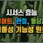 시서스 효능 완전 정리 : 다이어트, 관절, 혈당까지 책임지는 식물성 기능성 원료 (2025 최신) 5 시서스 효능 완전 정리 : 다이어트, 관절, 혈당까지 책임지는 식물성 기능성 원료 (2025 최신)