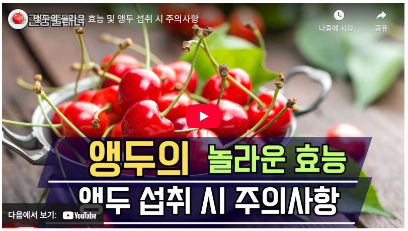 앵두 효능, 수확시기, 집에서 맛있게 즐기는 방법 (2025 최신) 2 앵두 효능
