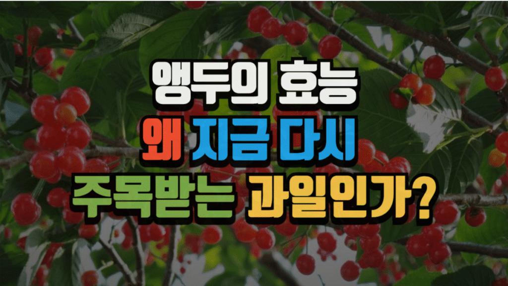 앵두의 효능, 왜 지금 다시 주목받는 과일인가? (2025 최신)