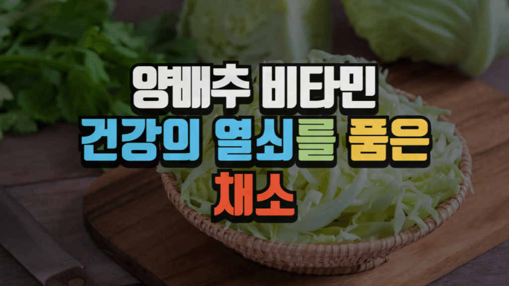 양배추 비타민, 건강의 열쇠를 품은 채소