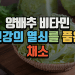 양배추 비타민, 건강의 열쇠를 품은 채소 (2025 최신) 7 양배추 비타민, 건강의 열쇠를 품은 채소