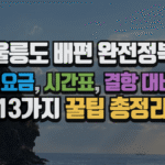 울릉도 배편 완전정복, 항로, 요금, 시간표, 결항 대비까지 13가지 꿀팁 총정리 (2025 최신) 5 울릉도 배편 완전정복, 항로, 요금, 시간표, 결항 대비까지 13가지 꿀팁 총정리 (2025 최신)