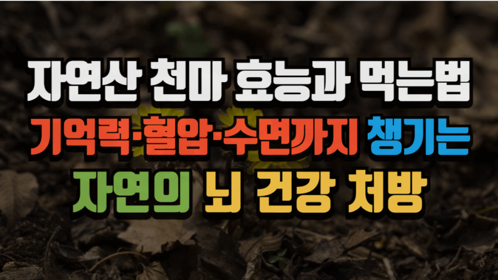 자연산 천마 효능과 먹는법, 기억력·혈압·수면까지 챙기는 자연의 뇌 건강 처방 (2025 최신) 2 자연산 천마 효능과 먹는법, 기억력·혈압·수면까지 챙기는 자연의 뇌 건강 처방 (2025 최신)