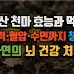 자연산 천마 효능과 먹는법, 기억력·혈압·수면까지 챙기는 자연의 뇌 건강 처방 (2025 최신) 9 자연산 천마 효능과 먹는법, 기억력·혈압·수면까지 챙기는 자연의 뇌 건강 처방 (2025 최신)