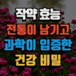 작약 효능, 전통이 남기고 과학이 입증한 건강 비밀 (2025 최신) 5 작약 효능, 전통이 남기고 과학이 입증한 건강 비밀 (2025 최신)