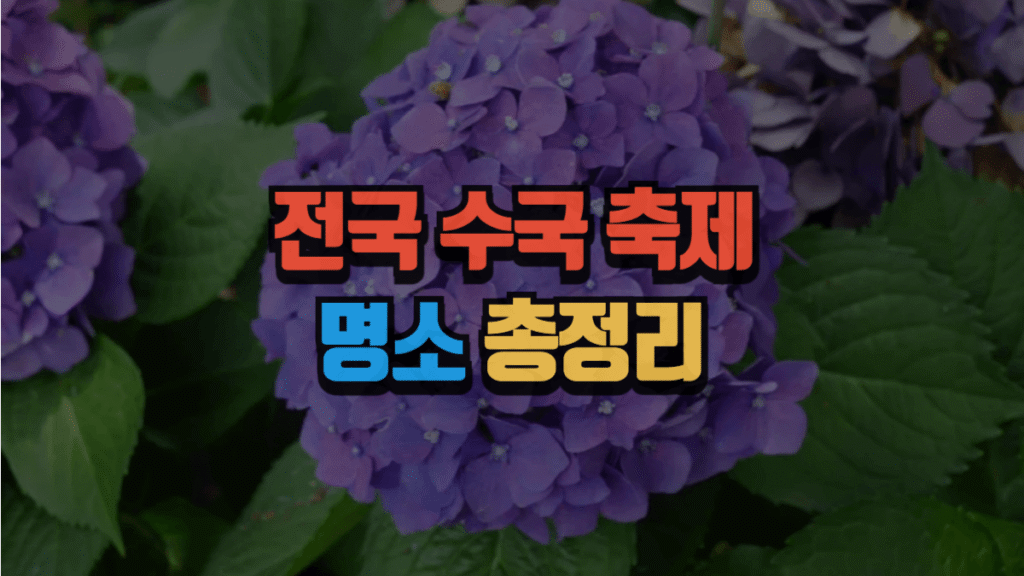 전국 수국 축제 명소 총정리 (최신 2025)