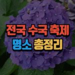 전국 수국 축제 명소 총정리 (최신 2025) 4 전국 수국 축제 명소 총정리 (최신 2025)