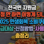 전국민 지원금 신청 안 하면 어떻게 되나? 2025 민생회복 소비쿠폰 지급대상·신청방법·사용처 총정리 3 전국민 지원금 신청 안 하면 어떻게 되나? 2025 민생회복 소비쿠폰 지급대상·신청방법·사용처 총정리