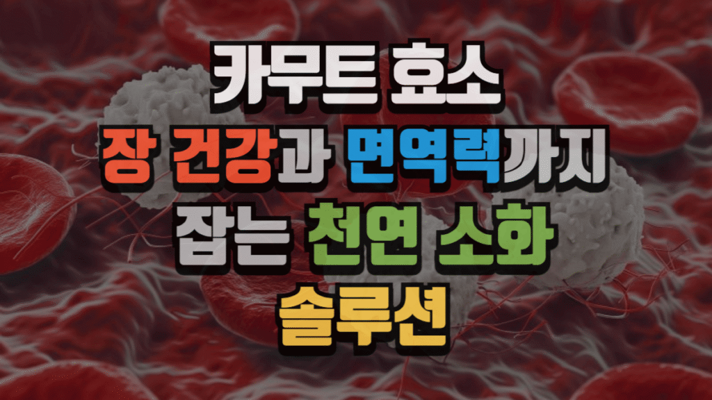 카무트 효소, 장 건강과 면역력까지 잡는 천연 소화 솔루션 (2025 최신) 2 카무트 효소, 장 건강과 면역력까지 잡는 천연 소화 솔루션 (2025 최신)