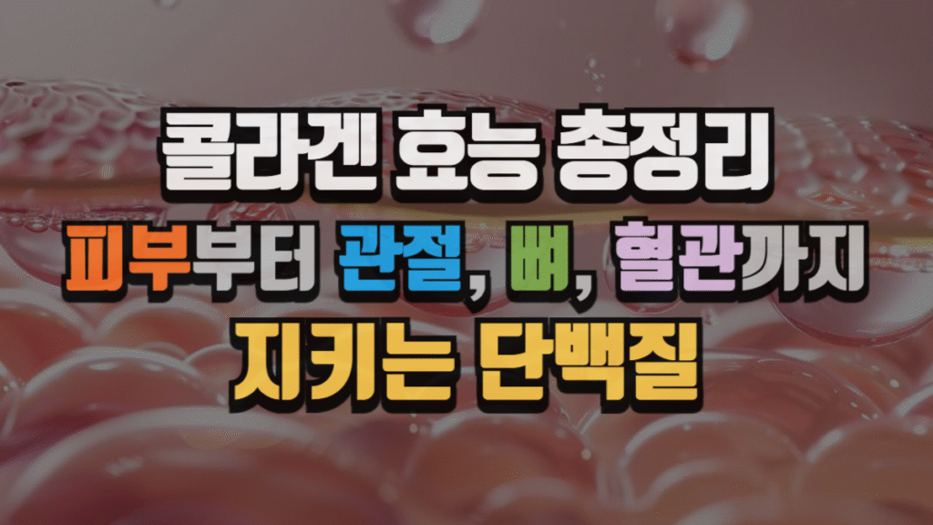 콜라겐 효능 총정리 : 피부부터 관절, 뼈, 혈관까지 지키는 단백질 (2025 최신)