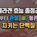 콜라겐 효능 총정리 : 피부부터 관절, 뼈, 혈관까지 지키는 단백질 (2025 최신) 5 콜라겐 효능 총정리 : 피부부터 관절, 뼈, 혈관까지 지키는 단백질 (2025 최신)