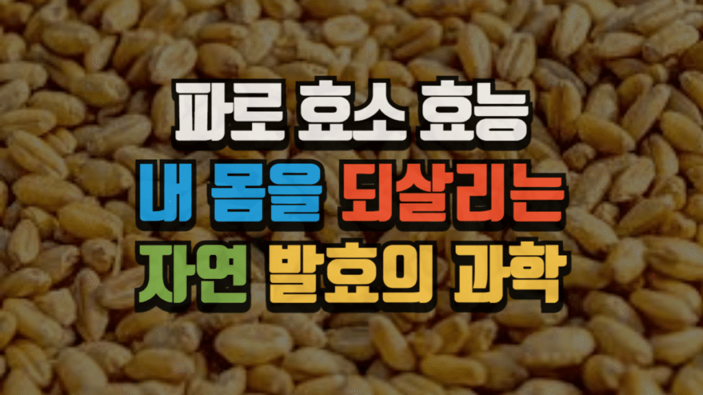 파로 효소 효능, 내 몸을 되살리는 자연 발효의 과학 (2025 최신)